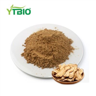 Angelica Sinensis Extract Powder